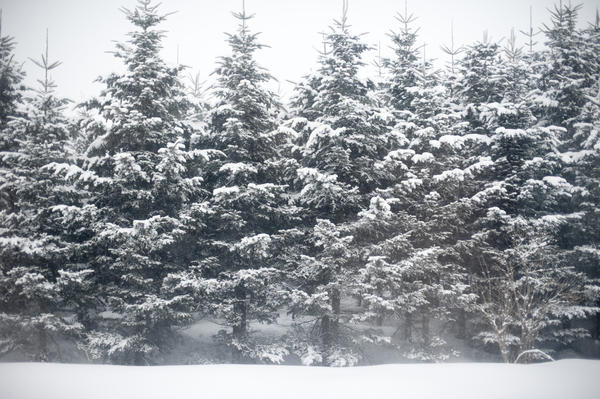 Moving Into Your Mini-Storage in Winter? Tips to Help