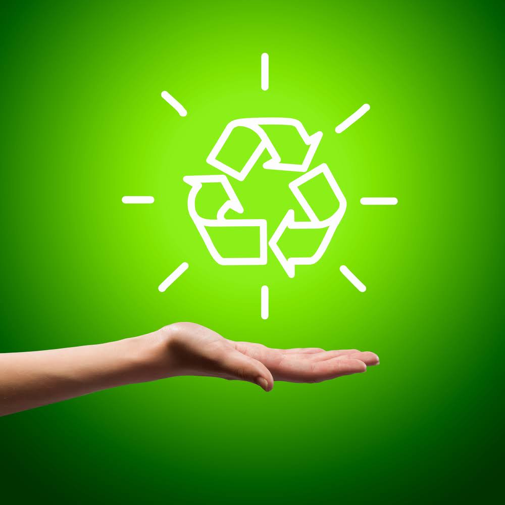 Storage, Sustainability, and How to Green Your Life